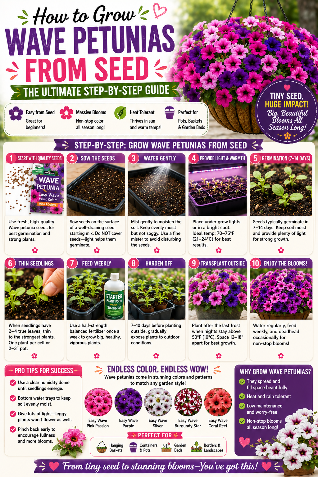 Step-by-step guide showing how to grow Wave petunias from seed with seed starting, germination, transplanting, and care tips for large trailing blooms in baskets, containers, and garden beds