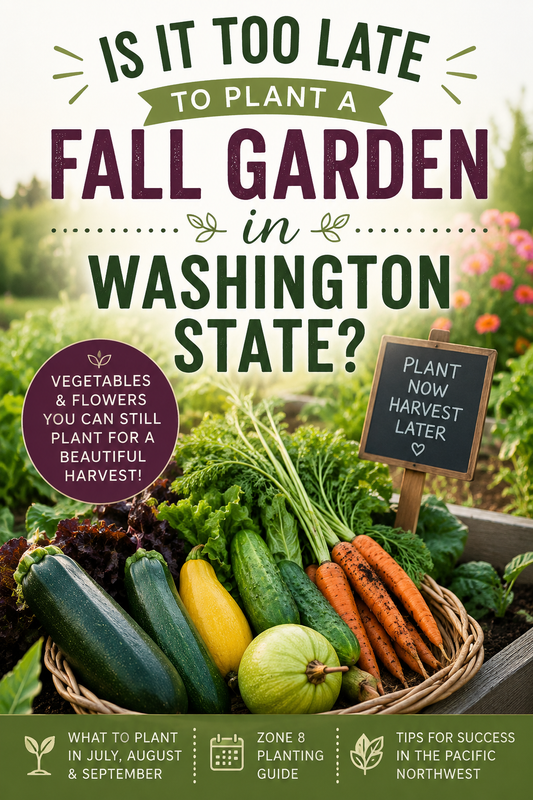 Basket of fresh vegetables in a Washington State garden showing crops you can still plant for a successful fall harvest in Zone 8.