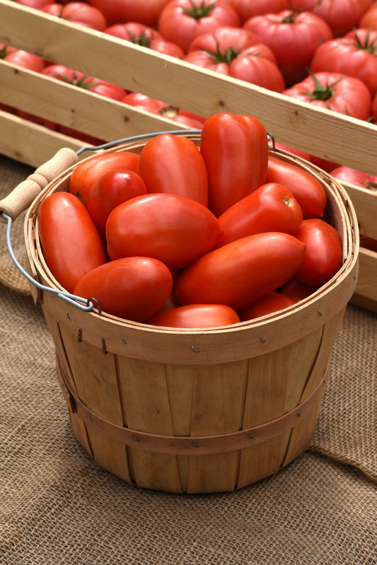 Tomato La Roma Hybrid Tomato Seeds