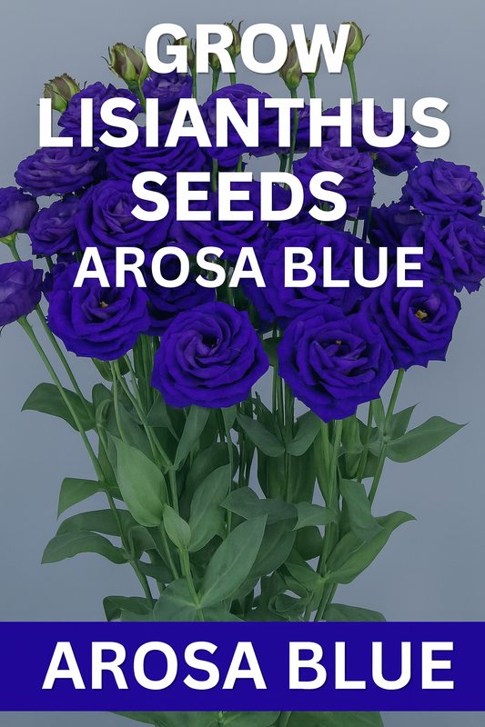“Lisianthus Arosa Blue flowers blooming in a garden, grown from pelleted seed, ideal for cut flower bouquets.”