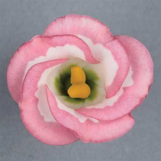 Lisianthus flowers meaning and symbolism – wedding, gifting, and garden guide