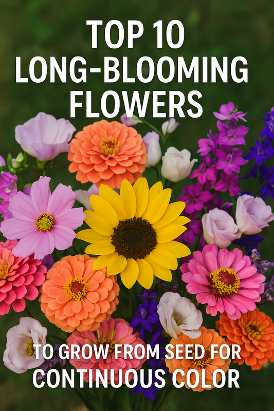 Bright bouquet of long-blooming flowers grown from seed including sunflower, zinnias, cosmos, lisianthus, snapdragons, and larkspur, perfect for season-long garden color and cut flower bouquets.