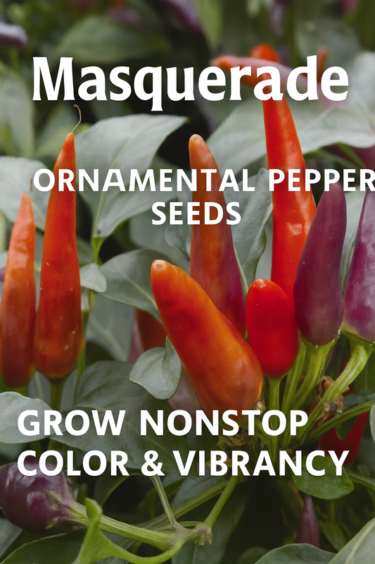Close-up of Masquerade Ornamental Pepper plant with peppers ripening in shades of purple, orange, and red, surrounded by lush green leaves — a compact, colorful choice for containers and borders