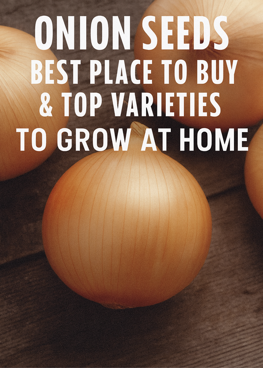 Yellow storage onions on wood surface – best onion seeds to buy for vegetable gardens
