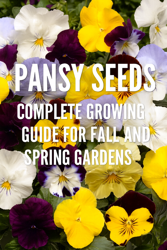 Close-up of colorful pansy flowers in yellow, purple, white, and blue shades with text overlay reading Pansy Seeds Complete Growing Guide for Fall and Spring Gardens