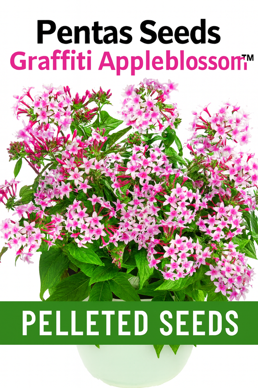 Pentas Graffiti Appleblossom soft pastel blooms from pelleted seeds