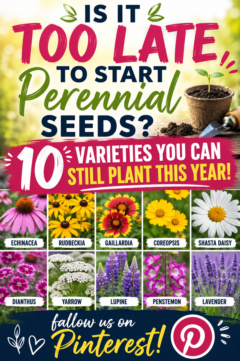 Perennial flower seeds you can still plant this year for colorful blooms and pollinator gardens.
