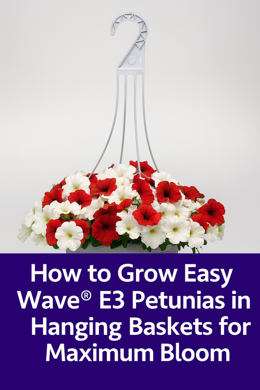 Easy Wave® E3 Petunias in a red and white hanging basket, showing how to grow petunias in baskets for nonstop blooms and vibrant trailing color
