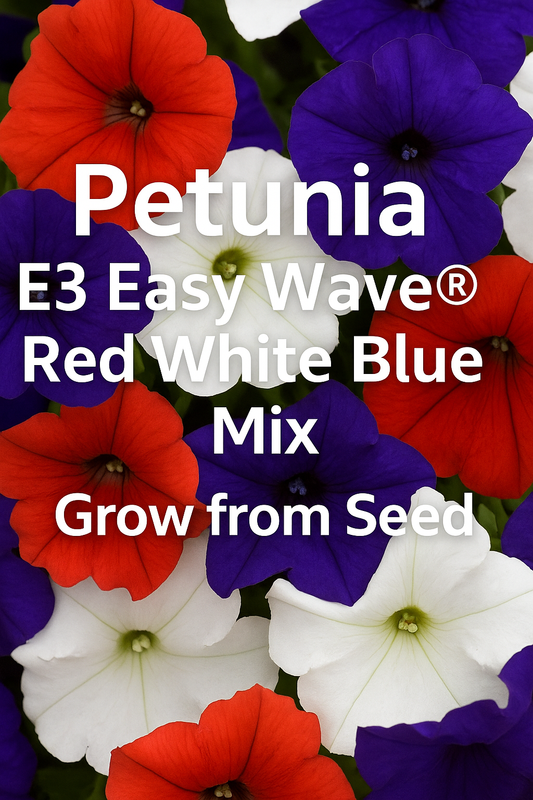 “Petunia E3 Easy Wave® Red White Blue Mix in bold red, crisp white, and deep blue blooms, perfect for patriotic containers, hanging baskets, and garden beds.