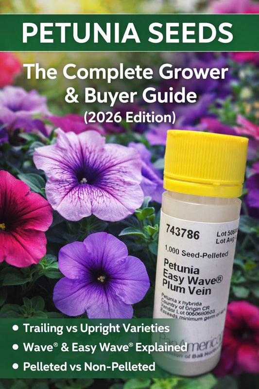 Petunia seeds guide showing Easy Wave petunia seed pack with colorful trailing petunia flowers for growers and gardeners