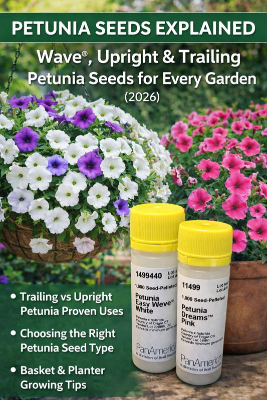 Petunia seed packs with wave, upright, and trailing petunias in baskets and planters