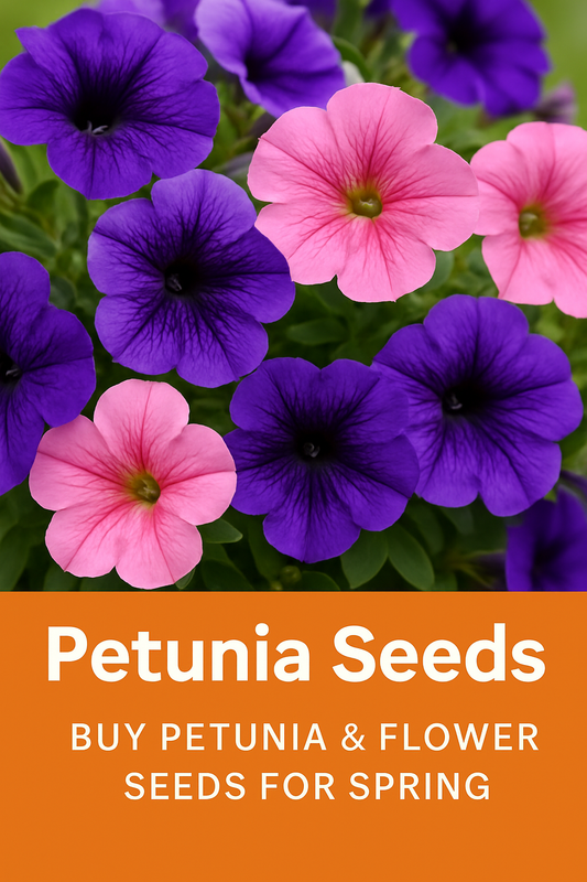 Soft pink petunia flowers blooming in a garden bed