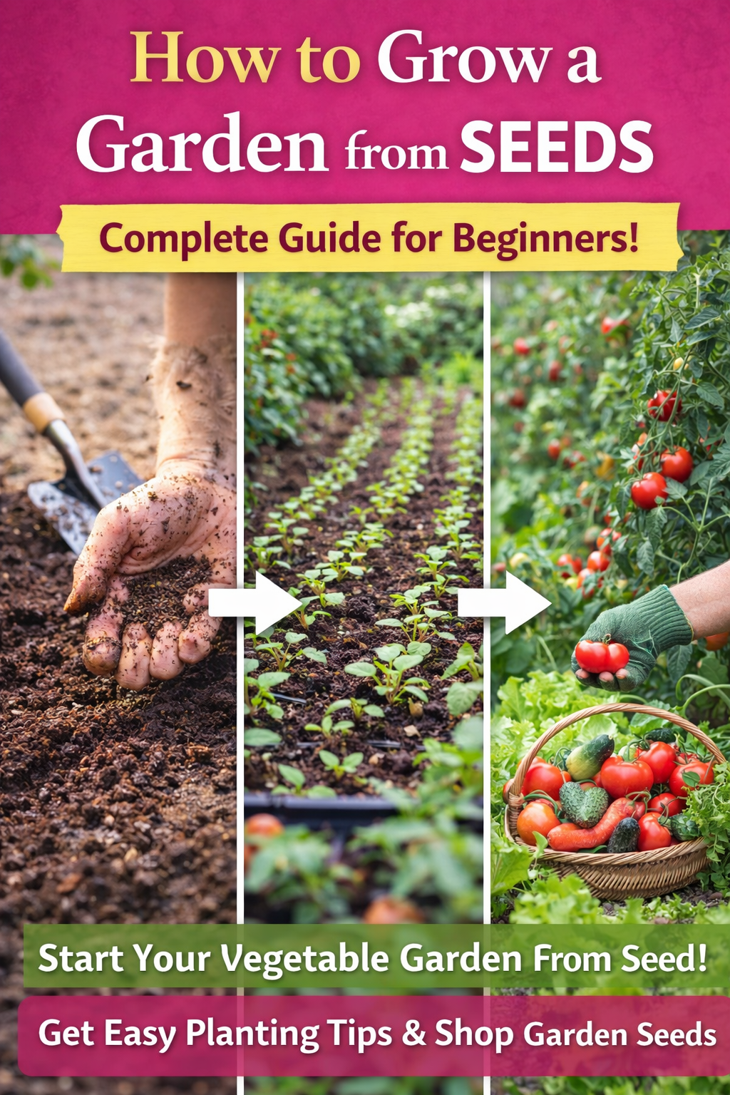 Planting a garden from seeds showing soil planting seedlings and harvesting vegetables in a home garden