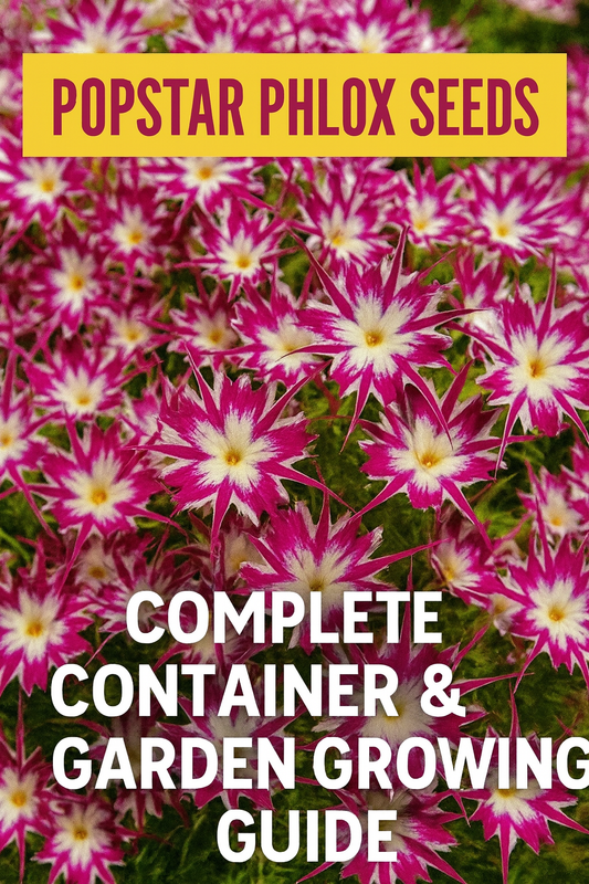 Purple and white star-shaped Popstar Phlox flowers — Pinterest thumbnail for Popstar Phlox Seeds Complete Guide to Growing Star-Shaped Blooms
