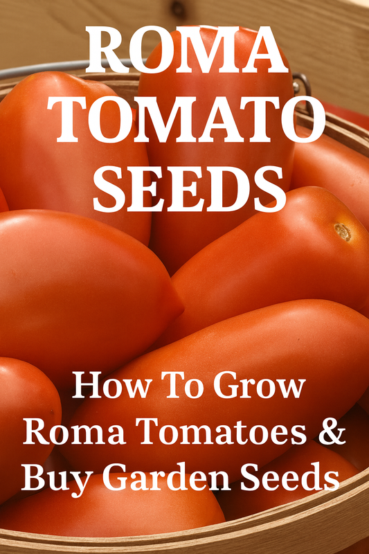 Fresh Roma tomatoes in a basket with text overlay reading “Roma Tomato Seeds – How to Grow Roma Tomatoes and Buy Garden Seeds