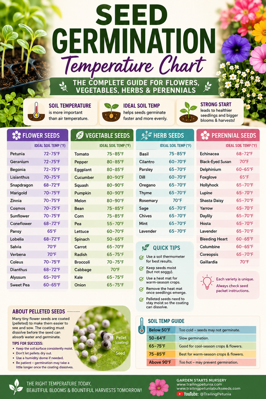 Complete seed germination temperature chart showing the ideal soil temperatures for flowers, vegetables, herbs, and perennials to improve germination success and grow healthy seedlings.