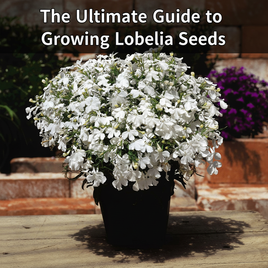 Vibrant blue Lobelia flowers blooming in a garden bed, showcasing their trailing habit and rich color. Learn how to grow Lobelia seeds for stunning summer displays.