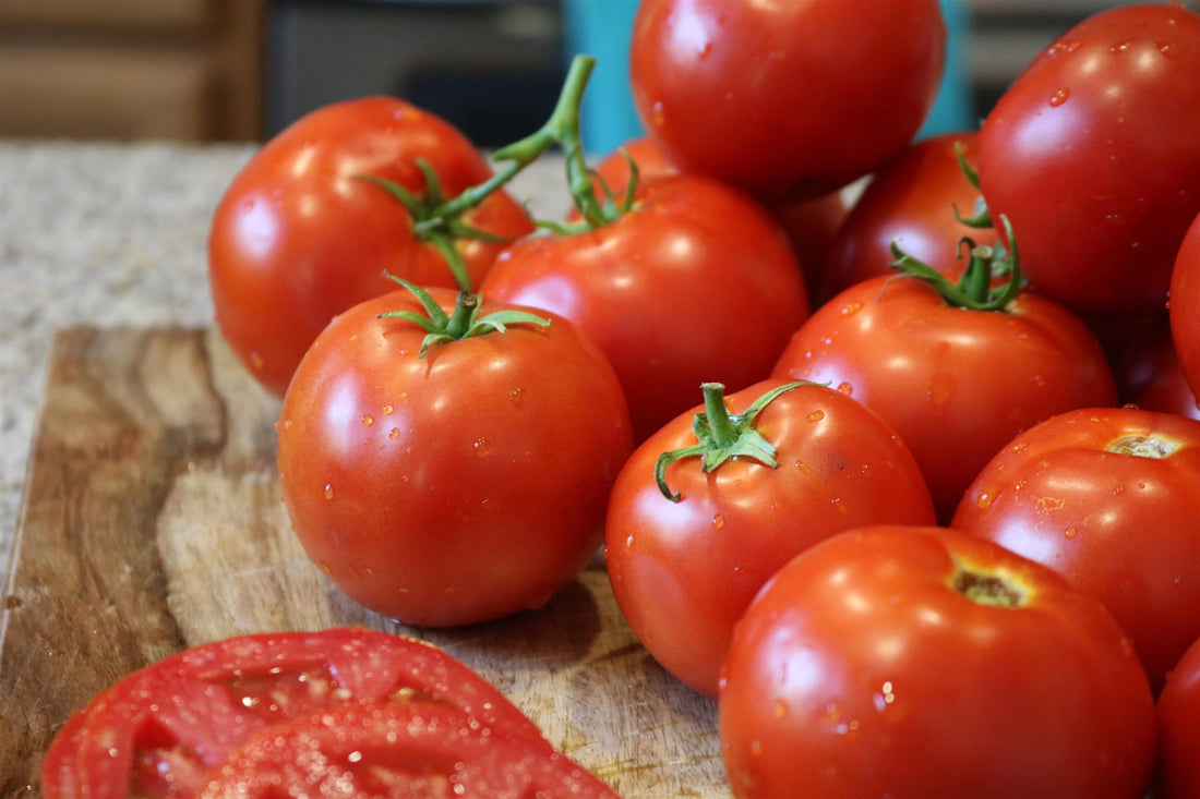 Husky Red Tomato hybrid plant loaded with ripe red tomatoes on a compact bush