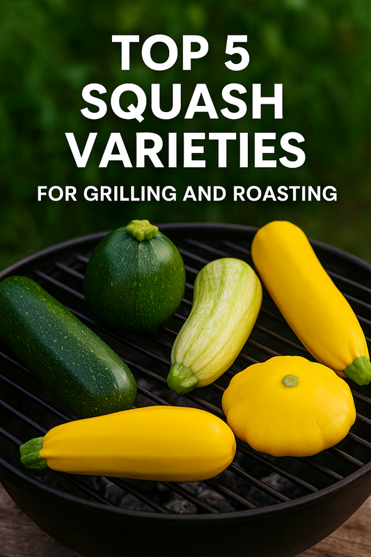 Top 5 Squash Varieties for Grilling and Roasting — colorful mix of zucchini, yellow squash, and round squash on a grill with bright green garden background