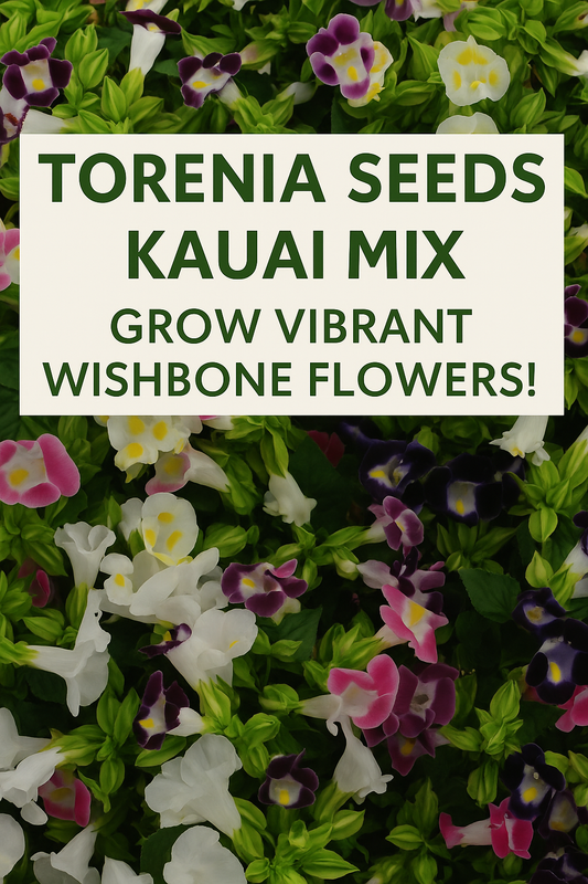 Torenia Kauai Mix flowers blooming in shades of rose, purple, yellow, and white, creating a colorful display perfect for shaded baskets, borders, and containers.