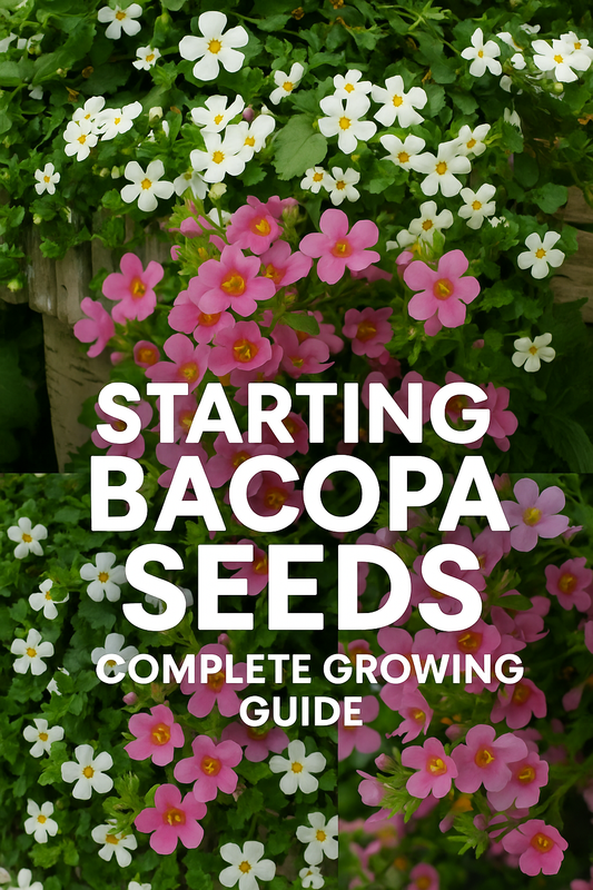 Trailing Bacopa flowers in full bloom, featuring Pinktopia, Bluetopia, Snowtopia, and Utopia varieties, perfect for hanging baskets and containers
