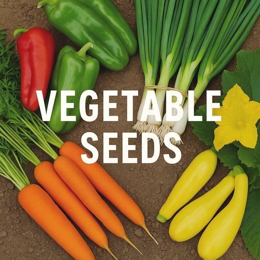 Fresh peppers, carrots, onions, and squash grown from vegetable seeds, highlighting both bulk vegetable seeds and smaller garden seed packs