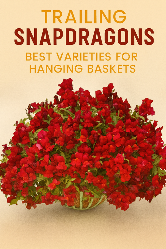 Trailing Snapdragon Candy Showers Red overflowing from a hanging basket — vibrant red snapdragons that trail beautifully for colorful hanging garden displays.