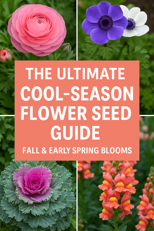 A colorful arrangement of cool-season flowers including Ranunculus, Anemones, Flowering Kale, Pansies, Violas, and Snapdragons — perfect for fall and early spring blooms.