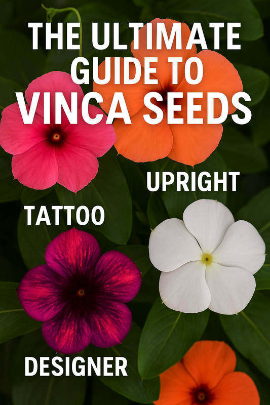 Vertical Pinterest-style photo showing colorful vinca blooms labeled Tattoo, Upright, and Designer, with bold title text “The Ultimate Guide to Vinca Seeds” for an eye-catching garden guide image.