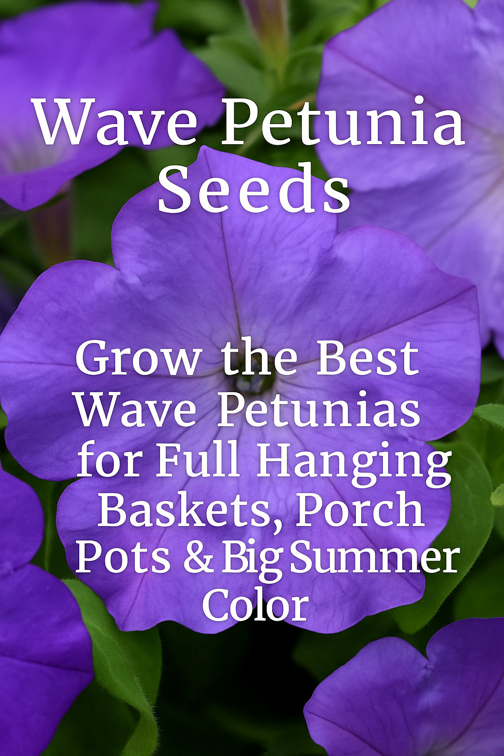 Purple Wave Petunia blooms with blog title text promoting the best Wave Petunias for baskets and containers.