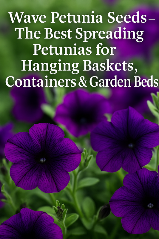 Purple Wave Petunia flowers blooming with lush spreading growth