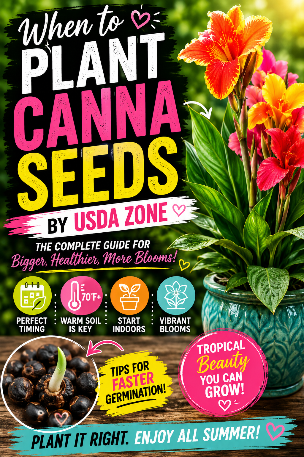 Colorful infographic showing when to plant canna seeds by USDA zone with tropical canna flowers, planting timeline, germination tips, and seasonal growing guide for healthy summer blooms.