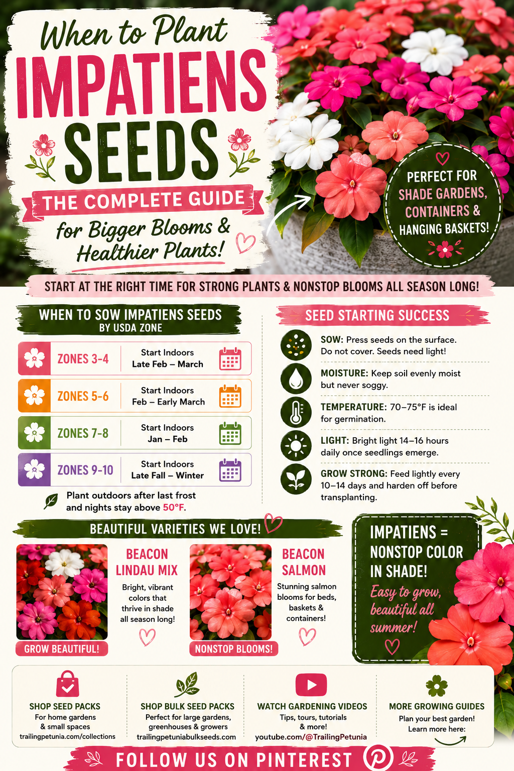 Colorful impatiens flowers in pink, white, coral, and salmon with a USDA planting timeline showing the best time to plant impatiens seeds for healthy plants, continuous blooms, and beautiful shade gardens