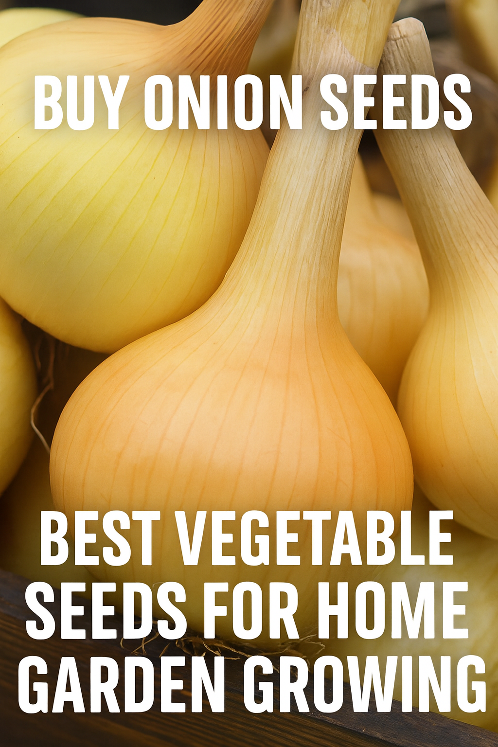 Golden storage onions freshly harvested – best onion seeds for home garden growing