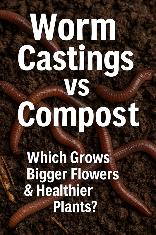 Earthworms and compost side by side with text “Worm Castings vs Compost – Which Grows Bigger Flowers & Plants?