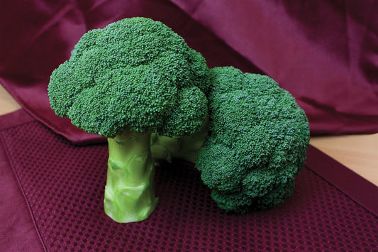 Centennial Broccoli Seeds – 100 Hybrid Vegetable Seeds