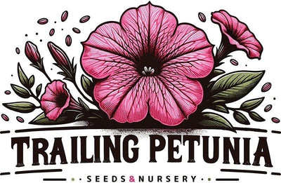 Trailing Petunia Seeds and Nursery
