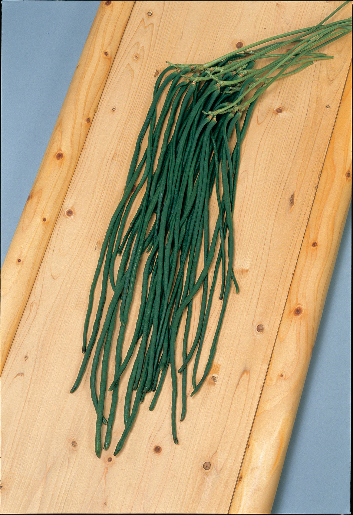 Orient Wonder Yard-Long Bean Seeds 50 Premium Pole Bean Seeds Chinese Long Bean