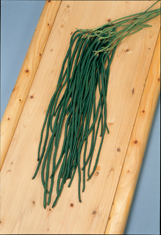 Orient Wonder Yard-Long Bean Seeds 50 Premium Pole Bean Seeds Chinese Long Bean