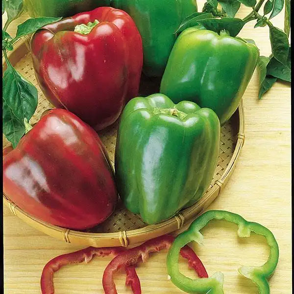 Vegetable Garden Seed Kit – 7 Varieties, 600 Seeds