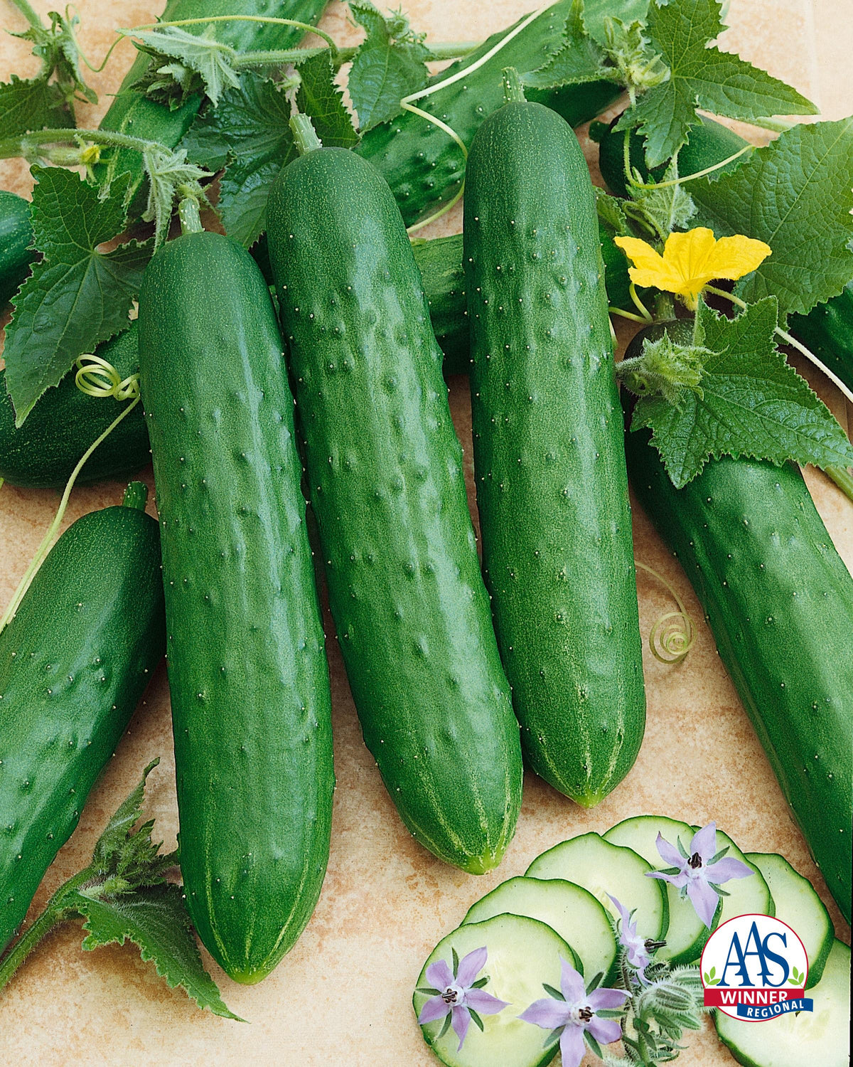Vegetable Garden Seed Kit – 7 Varieties, 600 Seeds
