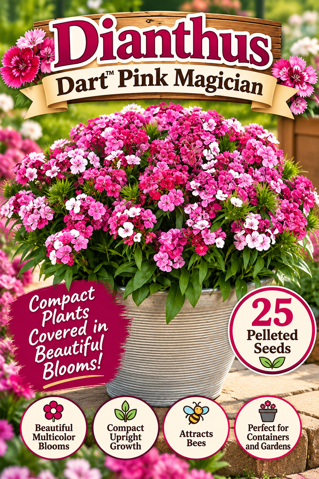 Dianthus Dart Pink Magician with pink, deep rose and white blooms in a gray pot; 25 pelleted flower seeds