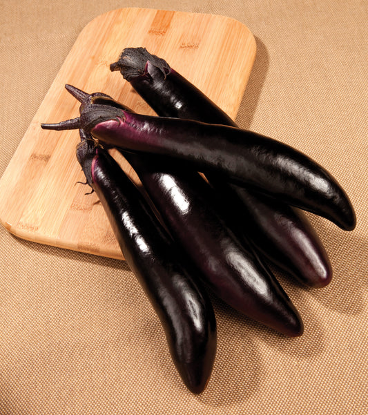 Shikou Eggplant Seeds | 50 Asian Vegetable Seeds for High-Yield Gardens