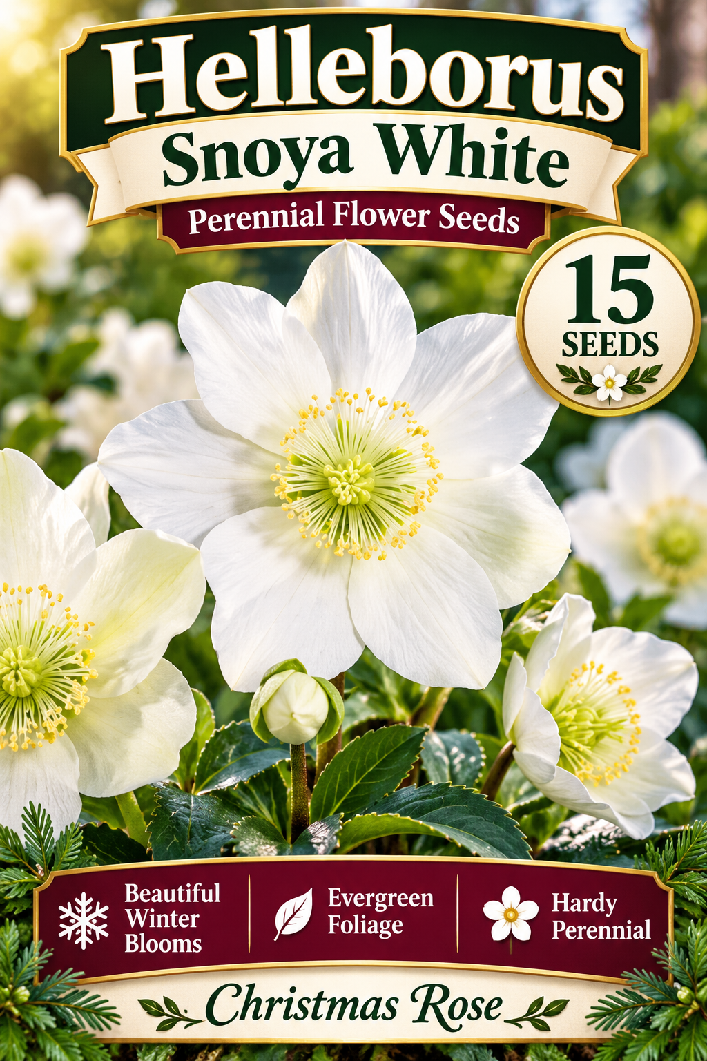 Snoya White helleborus seed graphic with white blooms, 15 seeds