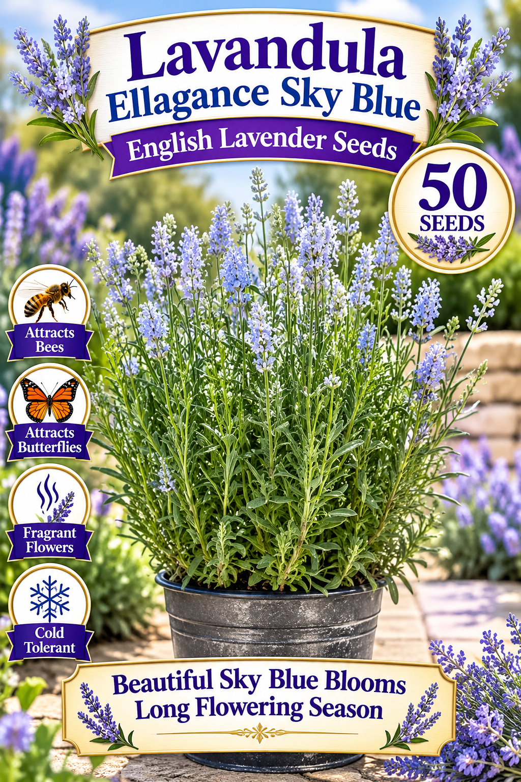 Ellagance Sky Blue English lavender seed graphic with sky blue blooms, 50 seeds