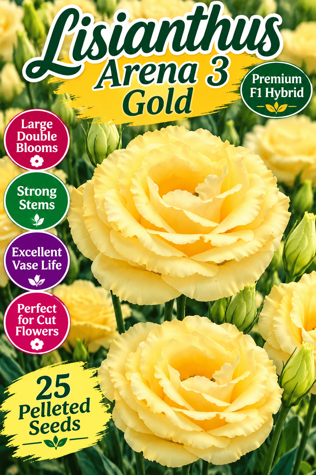 25 Pelleted Lisianthus Seeds Arena 3 Gold F1 Hybrid Cut Flower Seeds