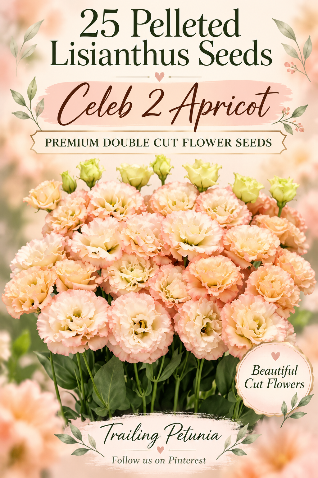 Lisianthus Celeb 2 Apricot with ruffled peach blooms, advertising 25 pelleted double cut flower seeds