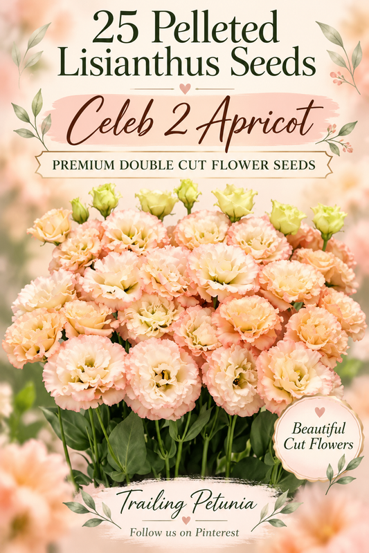 Lisianthus Celeb 2 Apricot with ruffled peach blooms, advertising 25 pelleted double cut flower seeds