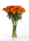 25 Marigold Seeds Marigold Xochi Orange Cut Flower