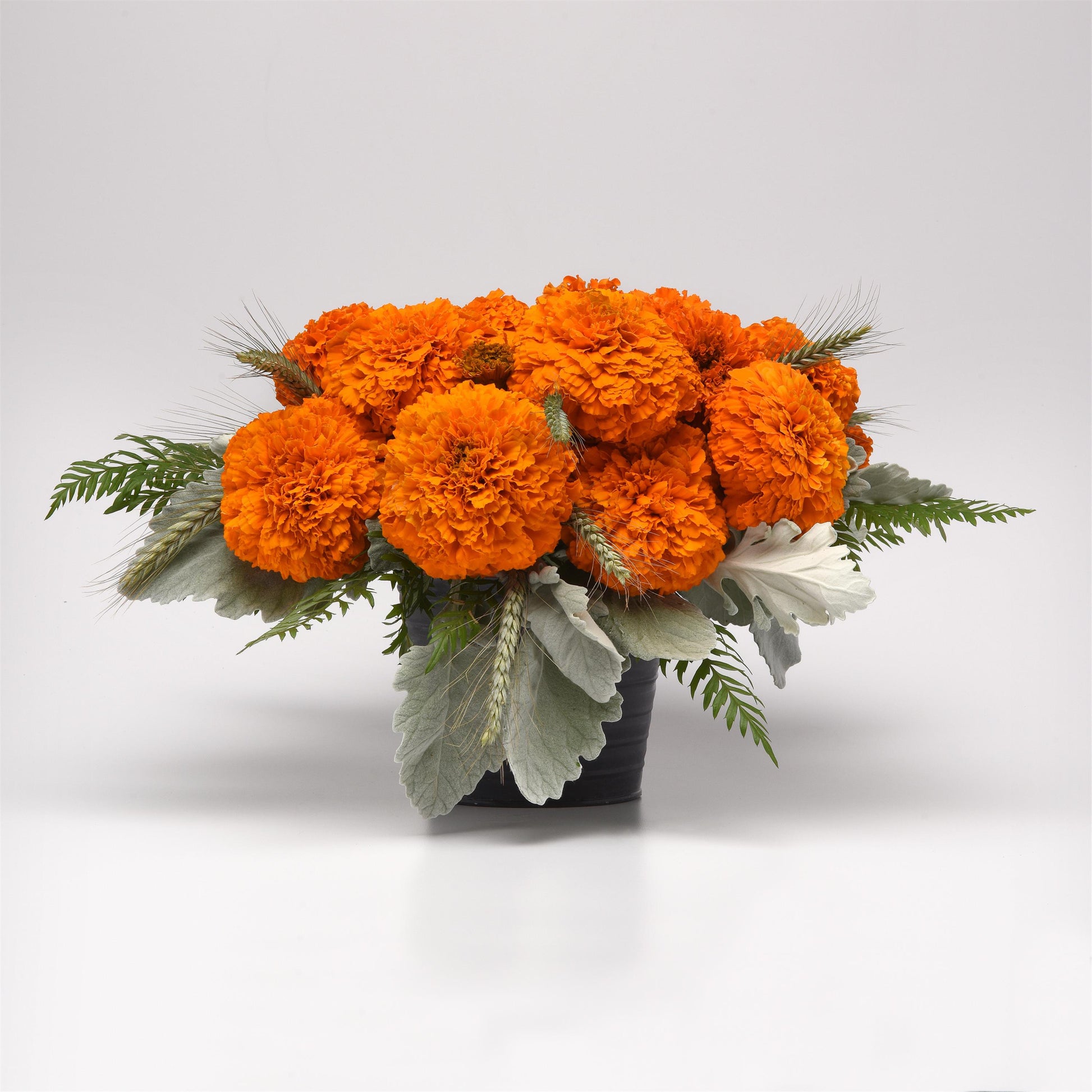 xochi marigold seeds 25 Marigold Seeds Marigold Xochi Orange Cut Flower